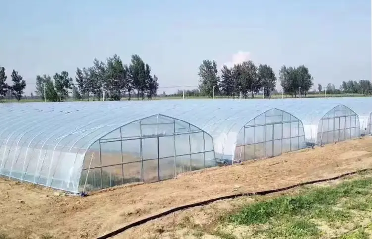 Profitable Agribusiness Ventures in Kenya 2025.