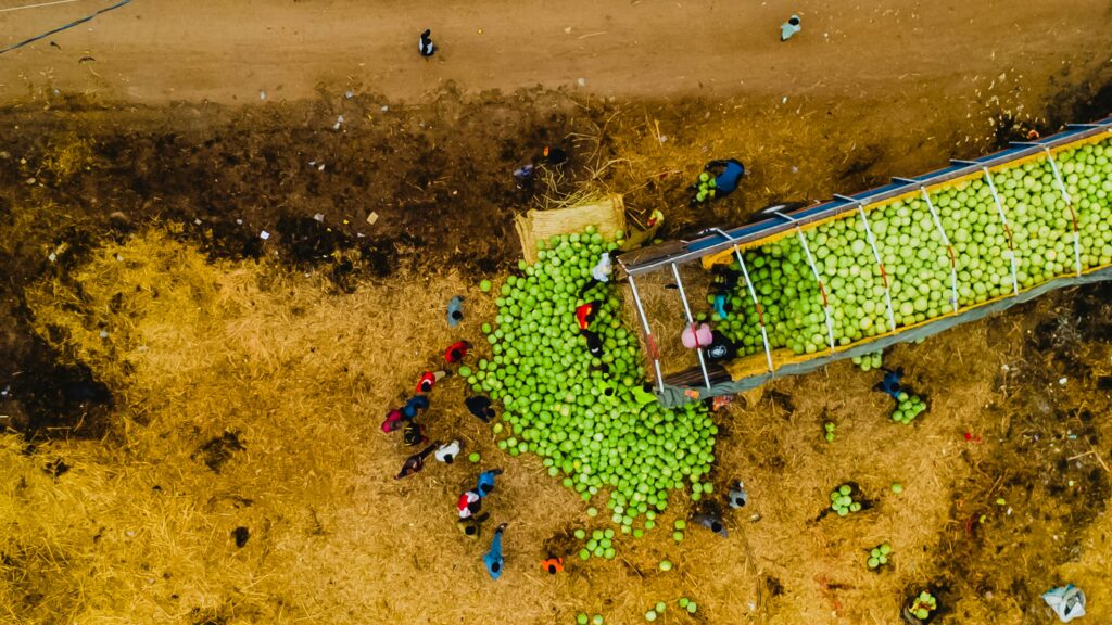 Supporting Agricultural Value Chains