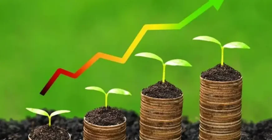 Discover how a determined farmer from Eldoret transformed a small piece of land into a thriving million-shilling agribusiness empire using innovation, branding, and hard work.
