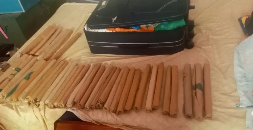 Ksh 1.8M Worth of Cannabis Seized in Samburu as Police Foil Trafficking Attempt