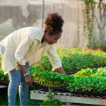 Why Small Businesses Are the Backbone of Kenya’s Economy